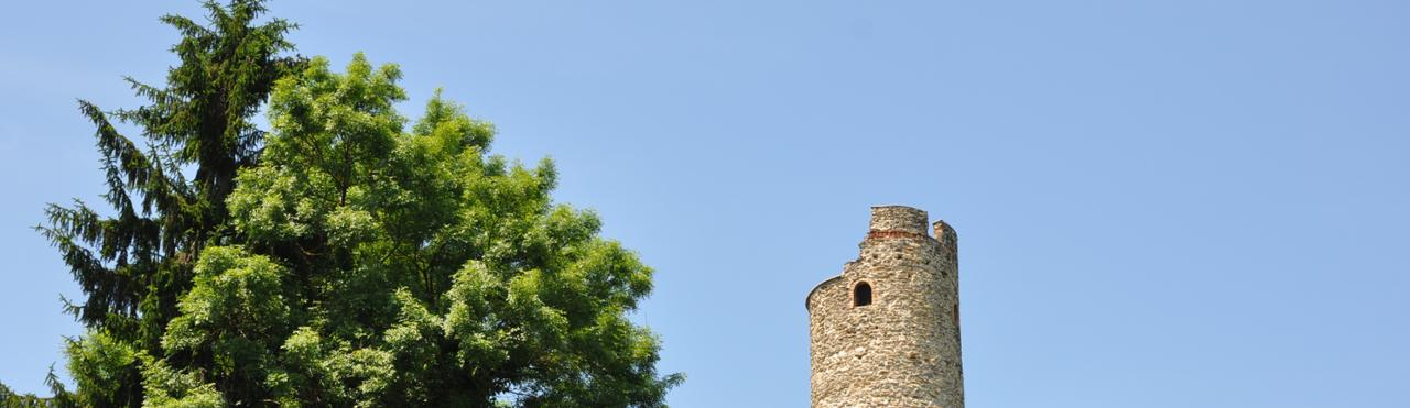 A ROBURENT NEL CUORE DELLE ALPI MONREGALESI